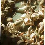 638526053447899625 +1