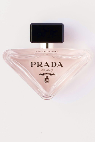 628392954292292040 farbig.jpg