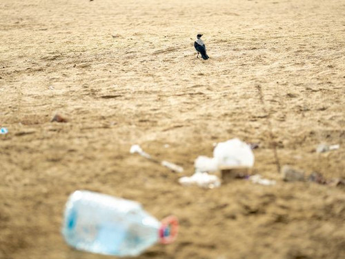 460201429 922580976579694 3479109381627528834 n.jpg?stp=dst jpg s600x600& nc cat=100&ccb=1 7& nc sid.jpg