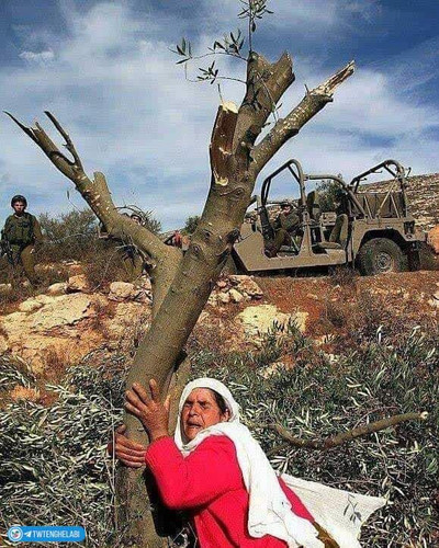 ffJYeX8xsdos8OuzUDlkkaXfOwqgj4hUdkN5Z5GQJ7oJrhe2dXpN xCiR mgpe 8uxDjntf3BoC0Opqa9eH1gbBgdOkJpwMjCsoi.jpg