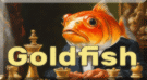 goldfish 210 64 ja avx2.gif