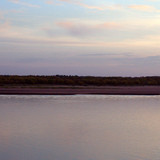 DSC 0016