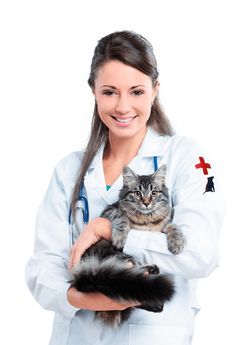 dokter pic2.jpg