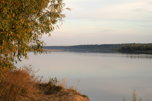 DSC 0014.jpg