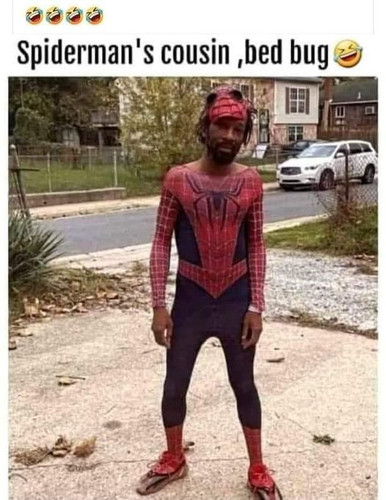 438275824 10229178970972661 8231164510277641504 n.jpg