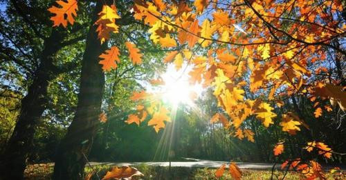 16517239780913227126?url=https%3A%2F%2Fegnatianews.com%2Fwp content%2Fuploads%2F2022%2F09%2FMoti vje.jpg