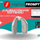 z prompt p