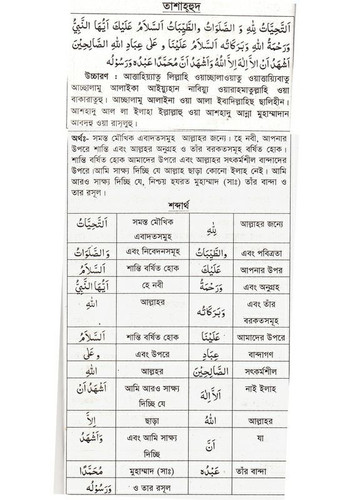 file 980.jpg