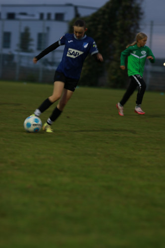 IMG 5267.jpg