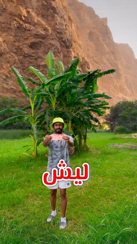 mgAumuJlwx n6S M.jpg