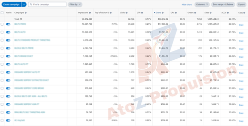 Belts Lifetime New WM.png
