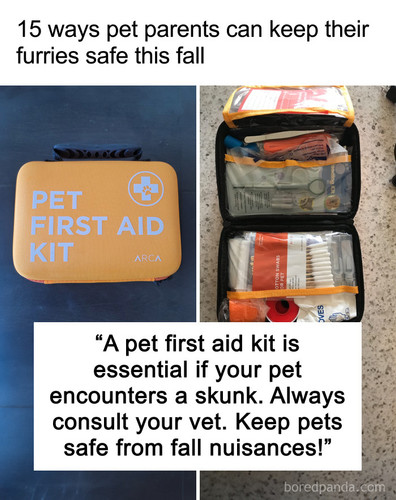 2 autumn pet safety tips.jpg