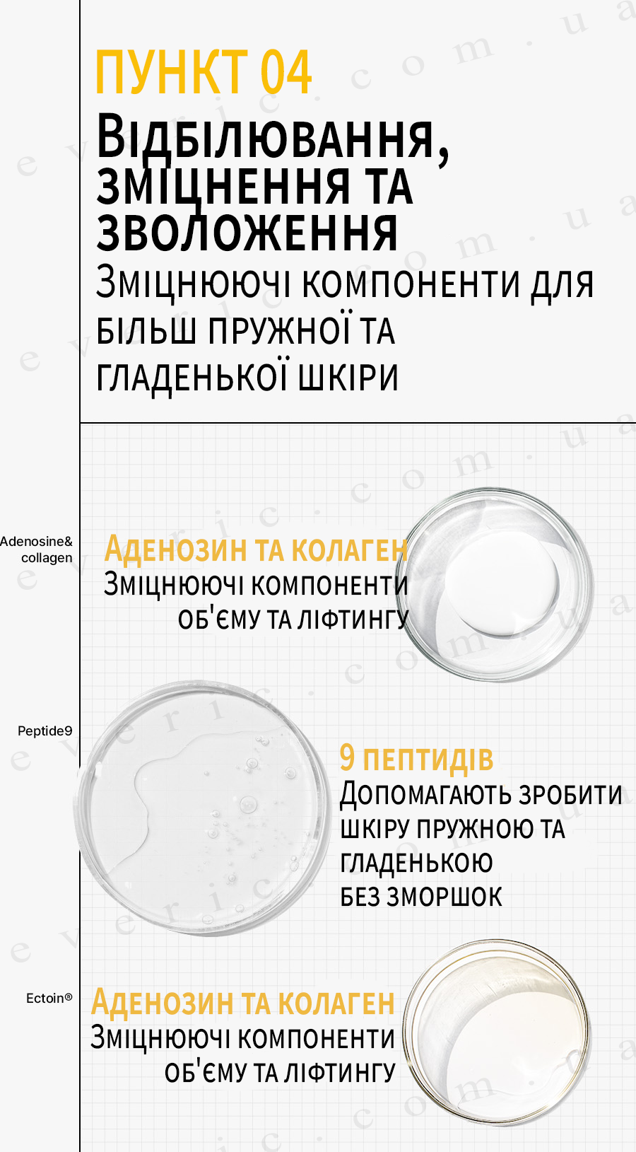 07 копия