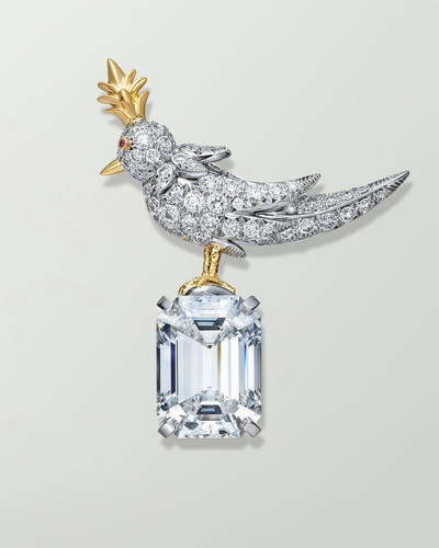 GXhr 9WXUAAMpfv?format=jpg.jpg