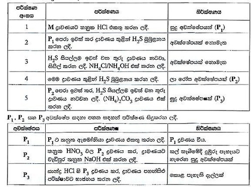 file 988.jpg