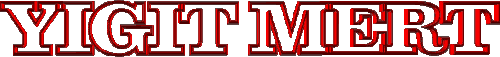 16.gif