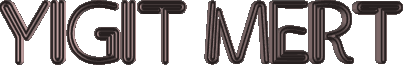 17.gif