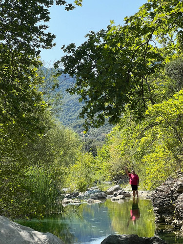 IMG 20240804 WA0021.jpg