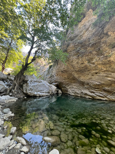 IMG 20240804 WA0003.jpg