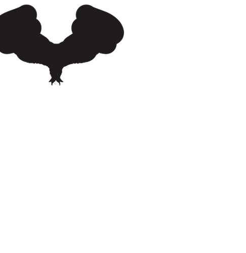 Untitled4 20240804180133.png