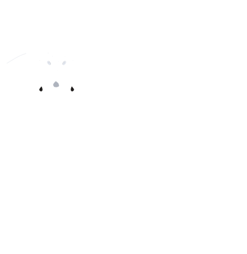 Untitled4 20240804180131.png