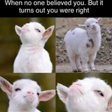 1000023365.png