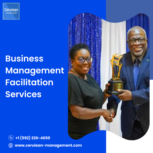 Business Management Facilitation Services | Cerulean Management.png