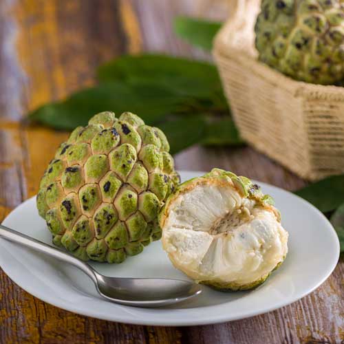 Top largest fresh organic fruits manufacturer and exporter in Andhra Pradesh.jpg