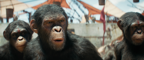 vlcsnap 2024 08 05 14h57m52s152.png