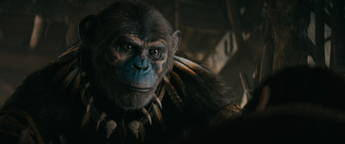 vlcsnap 2024 08 05 14h54m12s450.png