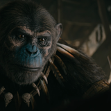 vlcsnap 2024 08 05 14h54m12s450