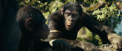 vlcsnap 2024 08 05 14h51m54s537.png