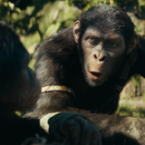 vlcsnap 2024 08 05 14h51m54s537