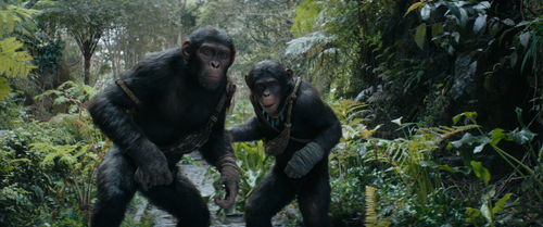 vlcsnap 2024 08 05 14h53m12s213.png