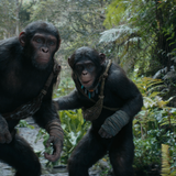 vlcsnap 2024 08 05 14h53m12s213