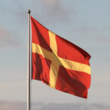 Beautiful Scanian flag.