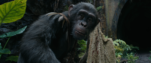 vlcsnap 2024 08 05 14h53m32s582.png