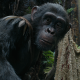 vlcsnap 2024 08 05 14h53m32s582