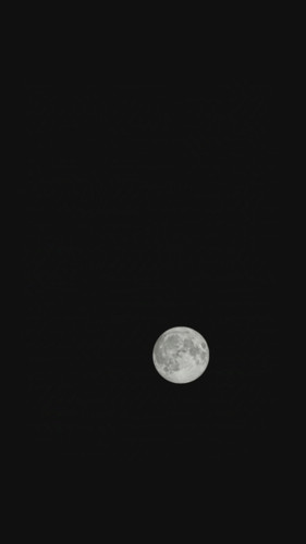 1000099161.jpg