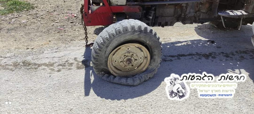 5947540123476409578 121.jpg