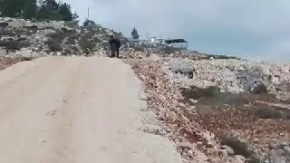 6027150567371965278 109.jpg