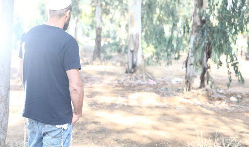 6017945417825758995 120.jpg