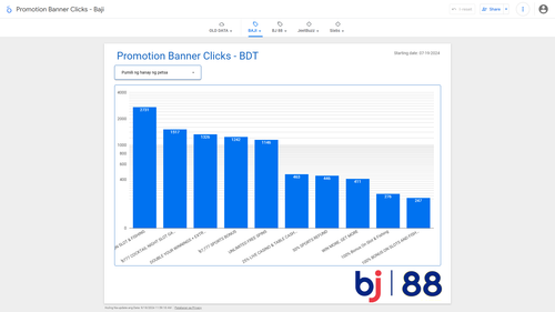 looker studio report.png