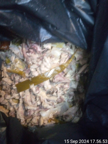 TimePhoto 20240915 175653.jpg