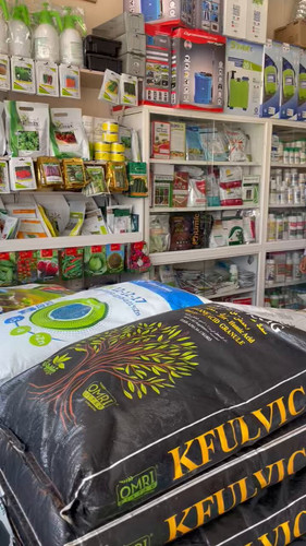 ZOEQVKS7rV63kME .jpg