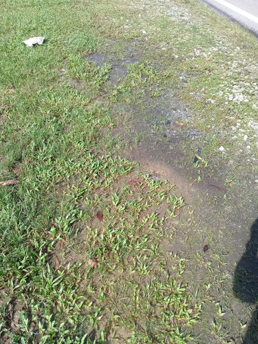 WhatsApp Image 2024 09 18 at 12.43.12 PM.jpg