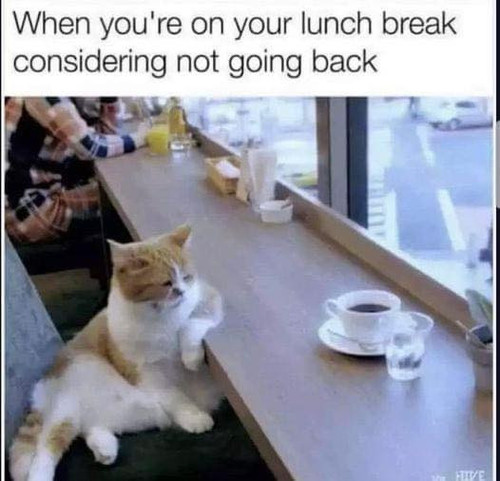 457661397 808075578194222 667132431016893263 n.jpg