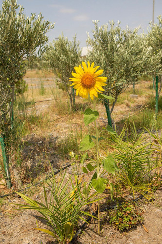 GXqcClWXIAANGI ?format=jpg.jpg