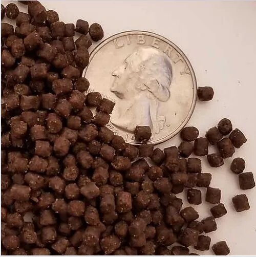 Goldfish Pellets Food.jpg