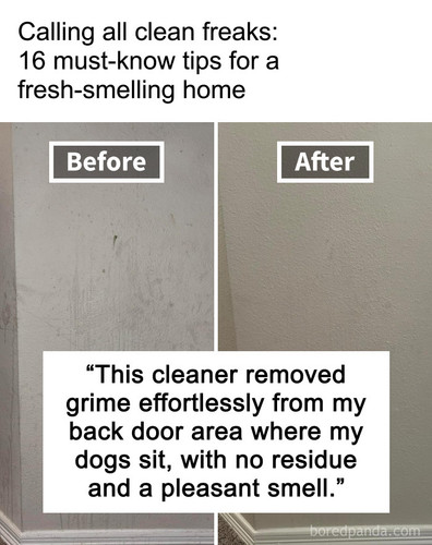 3 get rid of the odor.jpg